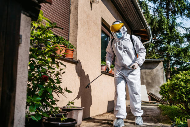 Best Insect Control  in Gardere, LA
