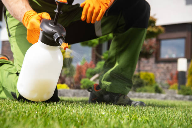 Professional Pest Control in Gardere, LA