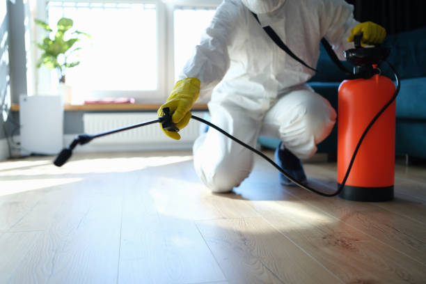 Flea Control Services in Gardere, LA