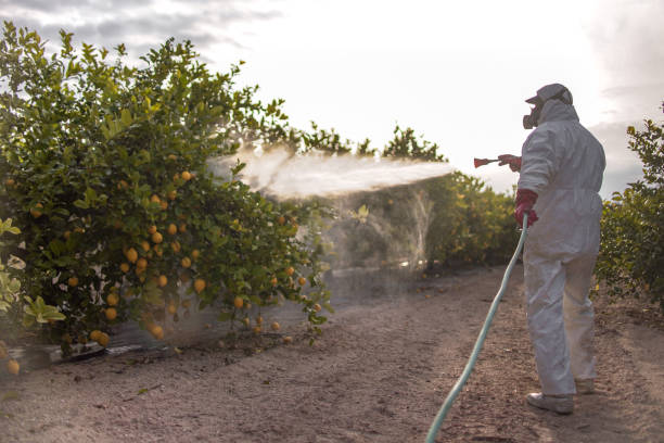 Best Affordable Pest Control Services  in Gardere, LA