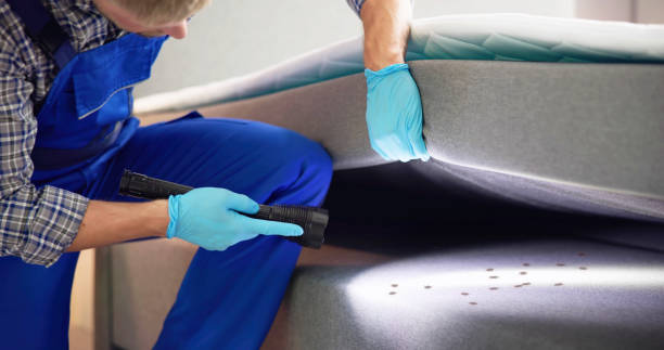 Best Local Pest Control Services  in Gardere, LA