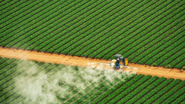 Best Pest Prevention Services  in Gardere, LA