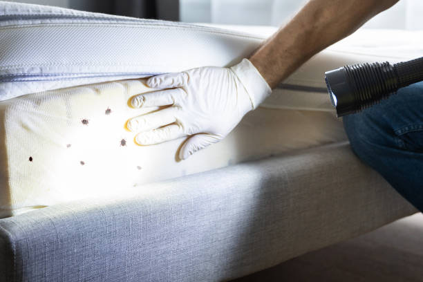 Best Rat Extermination Near Me  in Gardere, LA