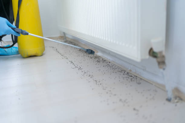 Best Best Pest Control Companies  in Gardere, LA