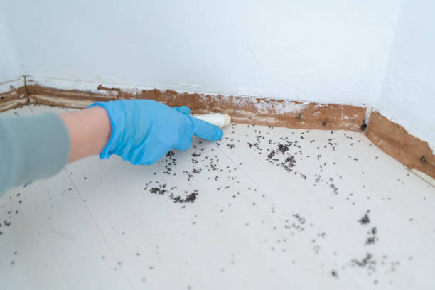 Best Exterminator Services  in Gardere, LA