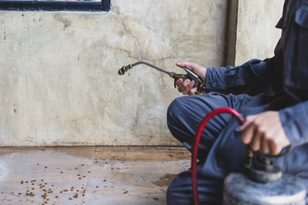 Best Pest Removal Services  in Gardere, LA